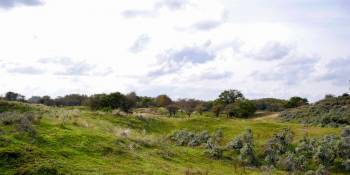 Nederland Amsterdamse Waterleiding Duinen Sophie RonReizen landschap