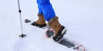 Zwitserland sneeuwschoenwandelen Bert Romani RonReizen