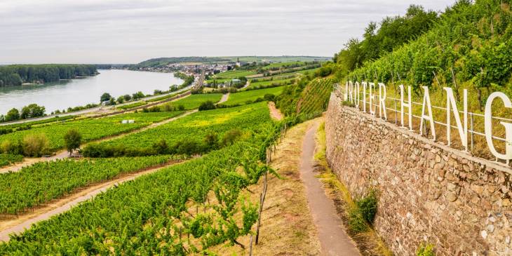 Duitsland fietsen RonReizen Nierstein