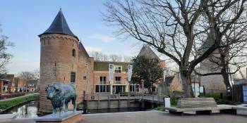 Nederland bollenvelden tulpen Fietsen Bert Sitters RonReizen hotel