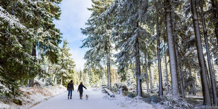 Duitsland Harz winterwandelen RonReizen.nl