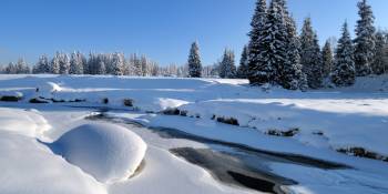 Tsjechië winterse activiteiten RonReizen.nl Boheemse Woud
