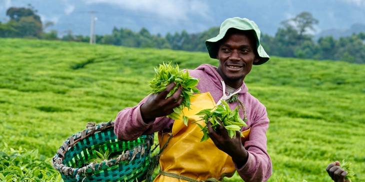 Prachtige rondreis door Rwanda (1)