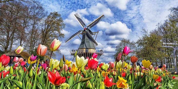 Nederland Keukenhof Bolsenius RonReizen.nl