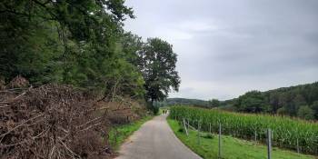 Luxemburg Fietsen Bert Sitters RonReizen