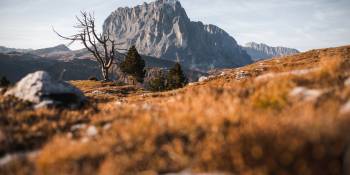 Italië Val Gardena Culinair RonReizen.nl