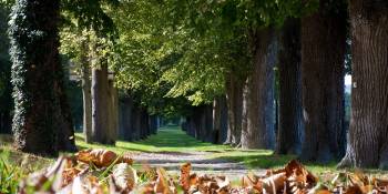 Frankrijk Bourgogne herfstvakantie RonReizen.nl bos