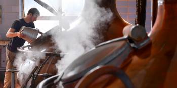 Belgie Vlaanderen Bierfestivals RonReizen.nl