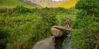 Zuid Afrika nieuws RonReizen.nl Drakenberg