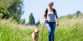 Nederland top 100 wandelroutes Holidu RonReizen.nl