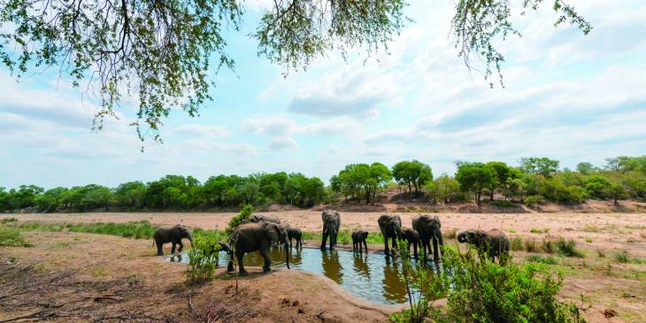 Winactie Zuid-Afrika: dit zijn de winnaars!