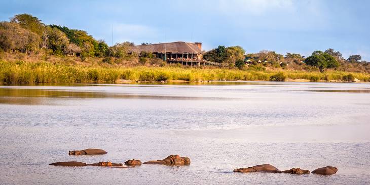 Rob Hoogland doucht met een giraffe in Zuid-Afrika