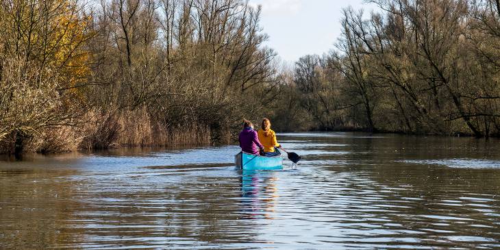 De Biesbosch: Nederlands natuurschoon