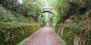 Treinspoor
