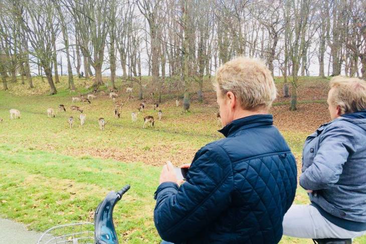 Phoenix Park