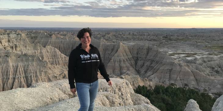 Bizons, presidenten en Badlands in South Dakota