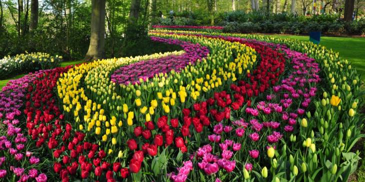 Virtueel naar Keukenhof en natuurgebied