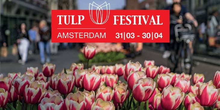Tulp Festival - RonReizen