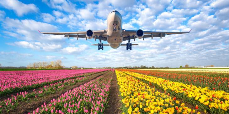 Meerderheid voor minimumprijs vliegticket
